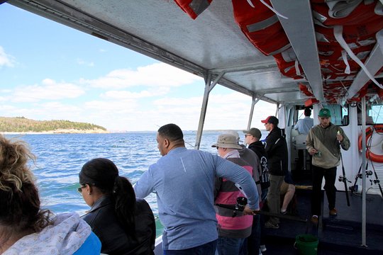 Tour image 8