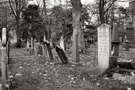 Tour image 11