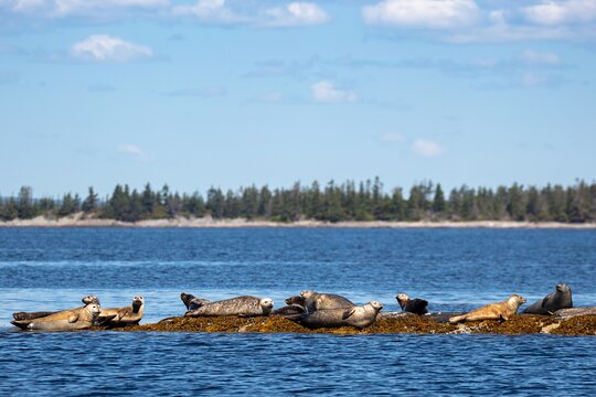 Tour image 12