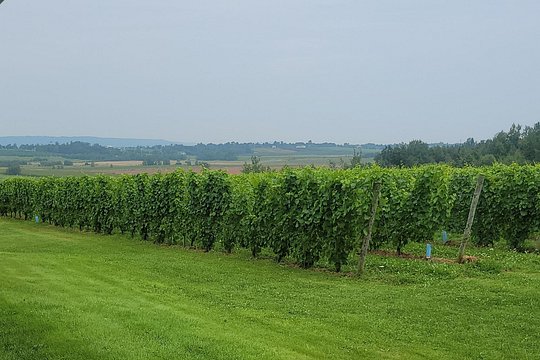 Tour image 2